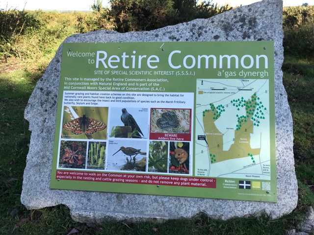 Retire Common.jpg